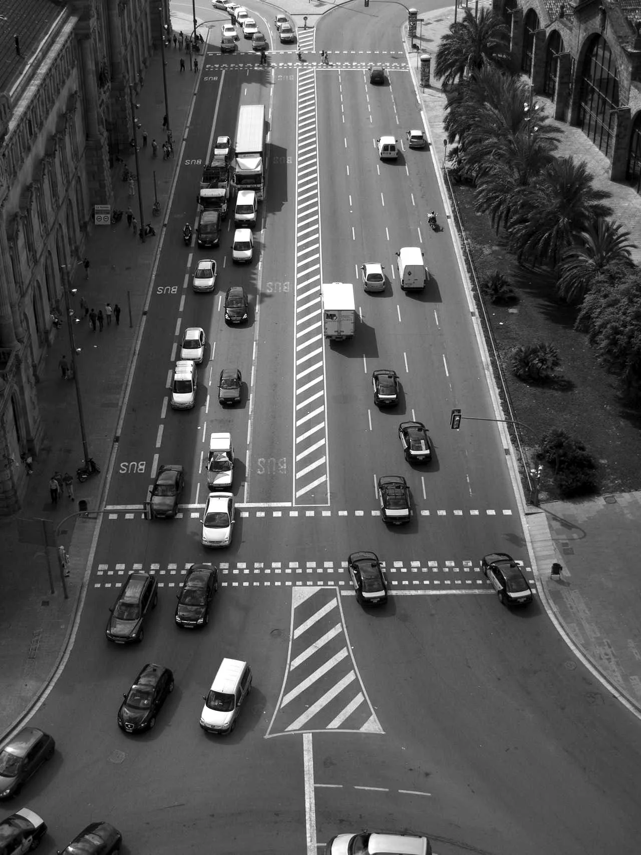 Avenida, fotografía de Fotógrafo invitado